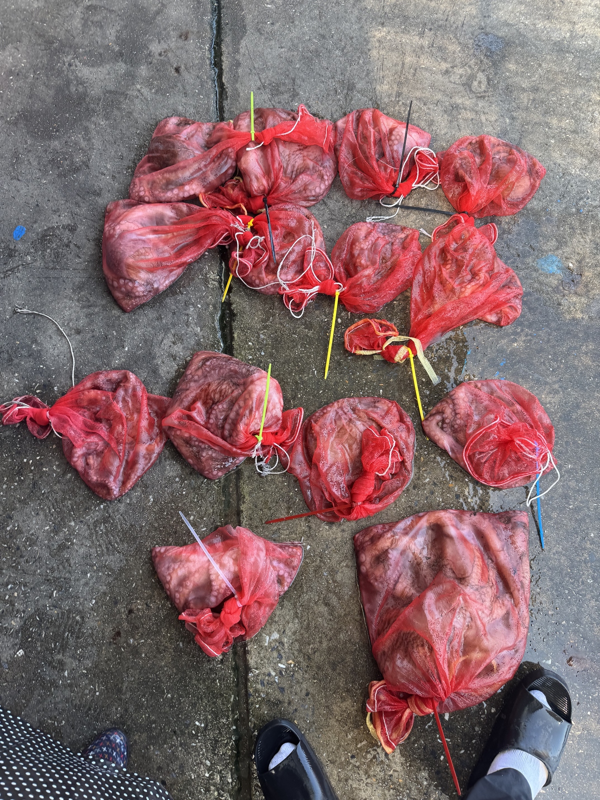 f69087b2b0a8e2ce3d971747777a46ef_1785902423_4232.jpg